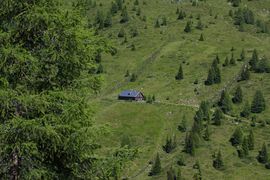Rader alm -weißpriach 29751 2016-07-10.jpg