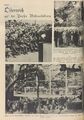 Salzburg auf Weltausstellungen hier 1937 Großglockner Hochalpenstraße.jpg