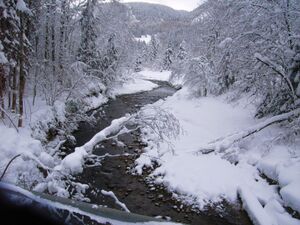 Der verschneite Lämmerbach in Hintersee 042.jpg