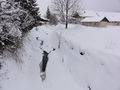 Fischbach im Winter als Rinnsal.jpg