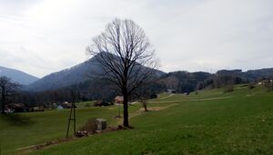 Hinterschroffenau, Ansicht in Richtung Pitrachberg.jpg
