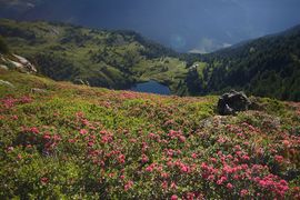 Wirpitschsee, untere-weißpriach 29637 2016-07-10.jpg
