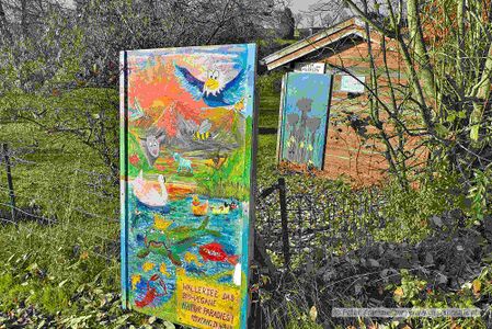 2024 11 17 Henndorfer Kulturkreis Bilder Wallersee Ostbucht 01.jpg