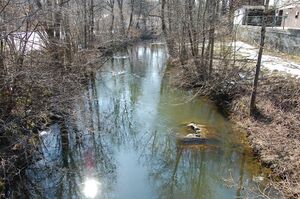 Fischachverlauf in Seekirchen Ried.JPG