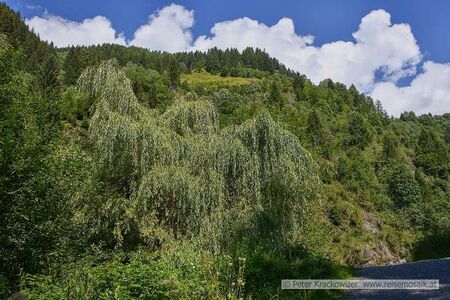 Gaisbachtal Rauris 08.jpg