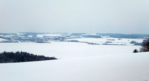 Seekirchen von Norden, Blick v. Hankham Jänner 2003.jpg