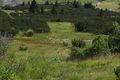 Hundsfeldmoor obertauern 31136 2016-08-04.jpg