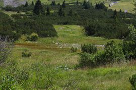 Hundsfeldmoor obertauern 31136 2016-08-04.jpg