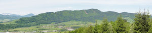 Kolomansberg im Frühjahr 2012.JPG