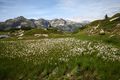 Krummschnabelsee obertauern 30920 2016-08-04.jpg