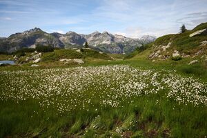 Krummschnabelsee obertauern 30920 2016-08-04.jpg