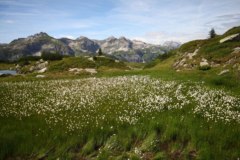 Datei:Krummschnabelsee obertauern 30920 2016-08-04.jpg