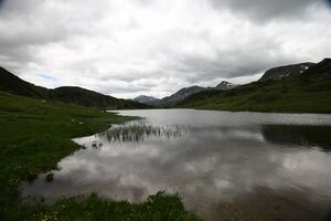 Oberhüttensee 28508 2016-06-28.jpg