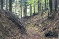 Vorschaubild der Version vom 23:53, 7. Jan. 2013
