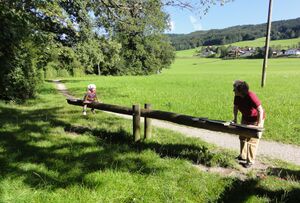 Achenweg an der Fuschler Ache in Thalgau.jpg