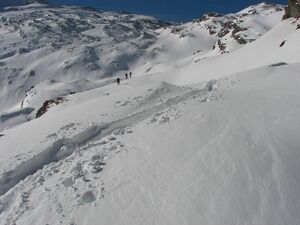 Im fuchskar 88427 2007-02-14.jpg