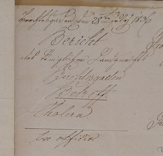 Datei:Ra107315158 (8).jpg