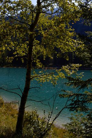 Schlierersee-0259-2021-09-14.jpg