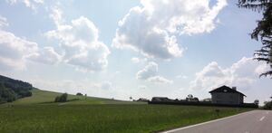 DSC08927.JPG