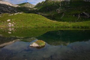 Fuchssee 0802 08-07-19.jpg