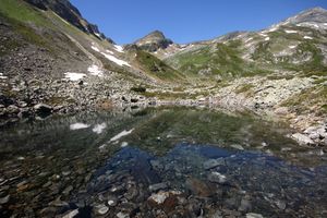 Schatzbühelsee 27249 2016-06-24.jpg
