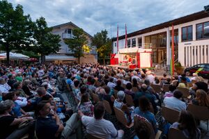 2016-08-03 044 Seekirchen Straßentheater.jpg
