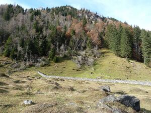 Ferleitental, Klaubsteinhag.jpg
