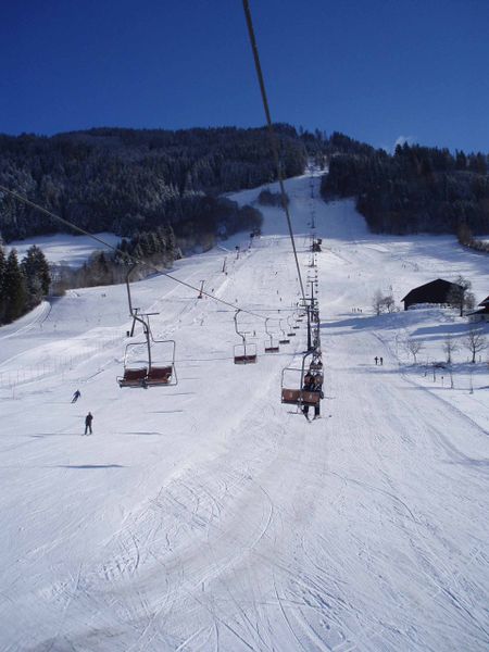 Datei:Hahnbaum1.jpg