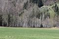 Mandlinger moor 69847 2018-04-18.jpg