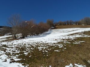 P1130423.JPG