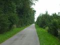 Tauernradweg an der Salzach im Bereich Salzach Liefering.jpg