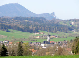 Thalgau, Ostbild.jpg