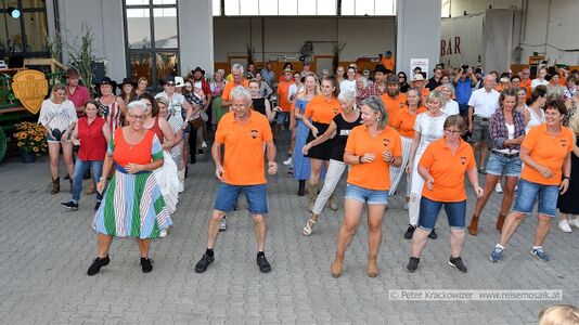 2025 08 09 Oldtimertreffen Oldtimerfreunde Neumarkt 98.jpg