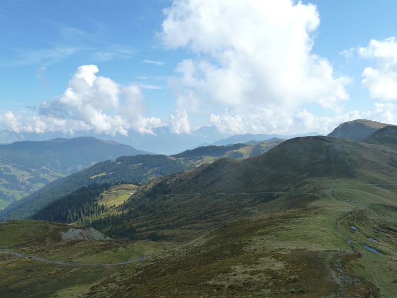 Datei:Almböden in der Grauwackenzone.jpg
