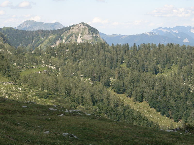 Datei:Blick zur Schönangerlalm.jpg