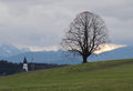 Gschirnlinde, Blick nach Süden.JPG
