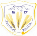 SK Lenzing Logo.PNG