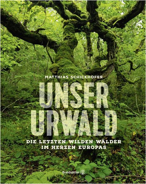 Datei:Urwald Schickhofer.jpg