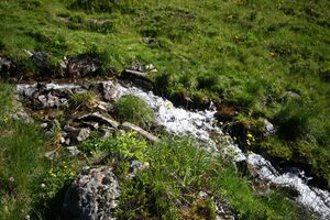 Wirpitschalm 30002 2016-07-10.jpg