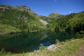 Wirpitschsee, unterer 29553 2016-07-10.jpg