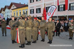 Angelobung 2015 in Neumarkt am Wallersee 67.jpg