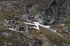 Bergtour poiskarl 26588 2016-06-24.jpg