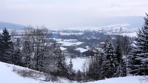 Breitwies-Ausblick vom Feichtlweg.jpg