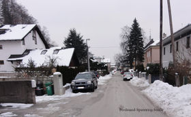 Ferdinand-Spannring-Straße.jpg