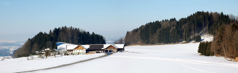 Datei:Fuchshofanwesen in Henndorf.jpg