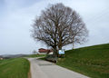 Güterweg Berg, mit Burg Lichtentann Schautafel.jpg