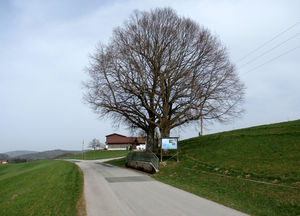 Güterweg Berg, mit Burg Lichtentann Schautafel.jpg