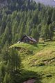 Müllnerbauerhütte Lantschfeld 62610 2009-08-13.jpg