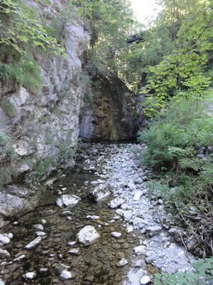 Steingraben nahe der Einmündung in den Zinkenbach.jpg
