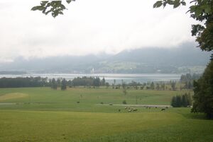Urschlagaussicht nach St. Wolfgang.jpg